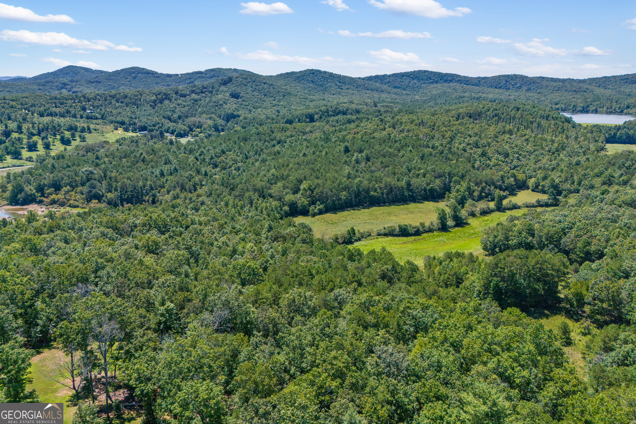 1489 Boy Scout Road Blairsville, GA 30512 - Photo 19 of 43 a view of a lush green hillside and houses