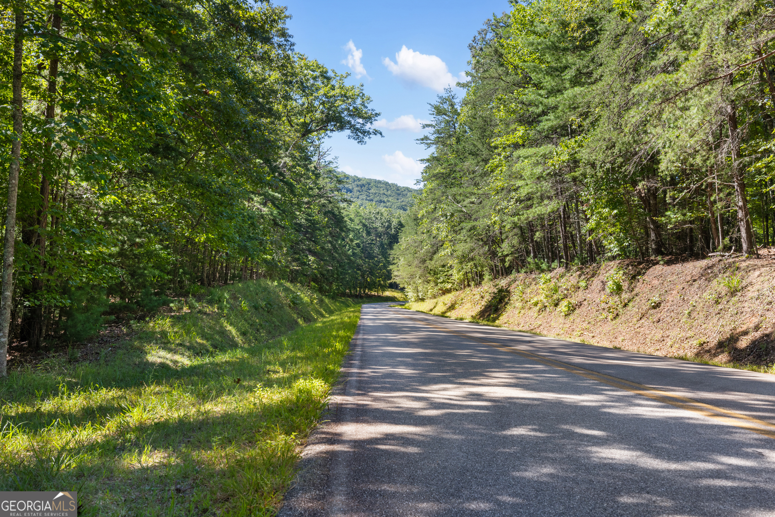 1489 Boy Scout Road Blairsville, GA 30512 - Photo 20 of 43 a view of a yard of the house