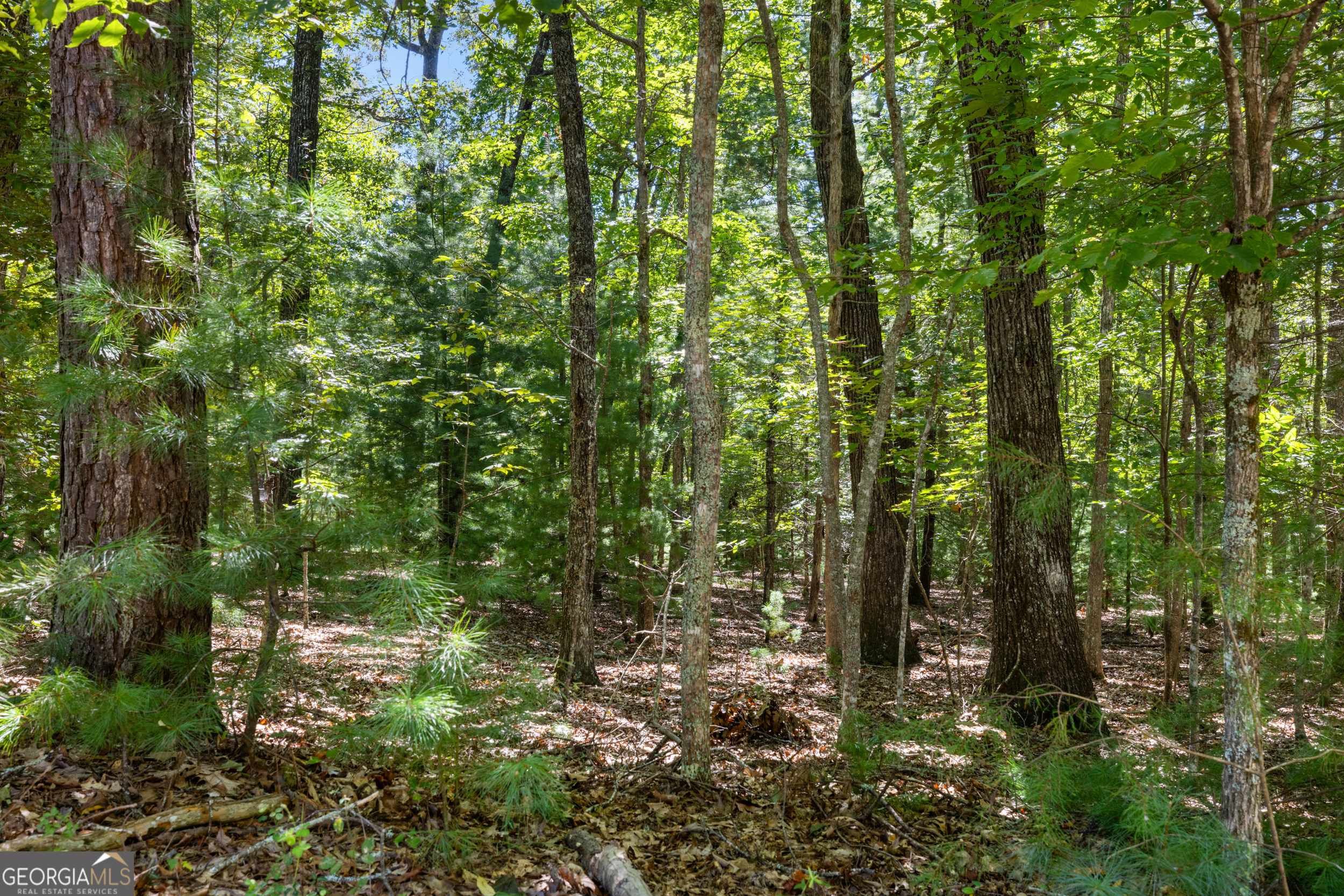 1489 Boy Scout Road Blairsville, GA 30512 - Photo 21 of 43 a view of a garden