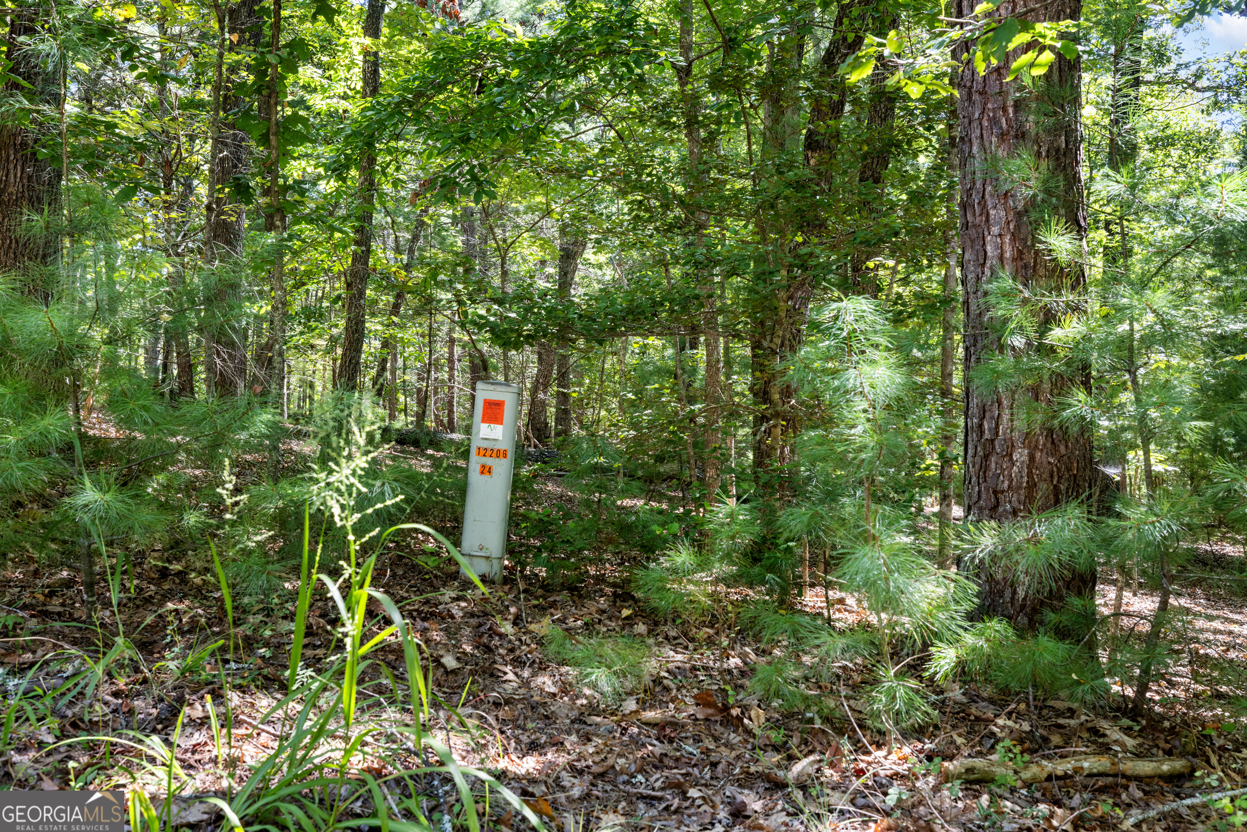 1489 Boy Scout Road Blairsville, GA 30512 - Photo 22 of 43 a green field with lots of trees