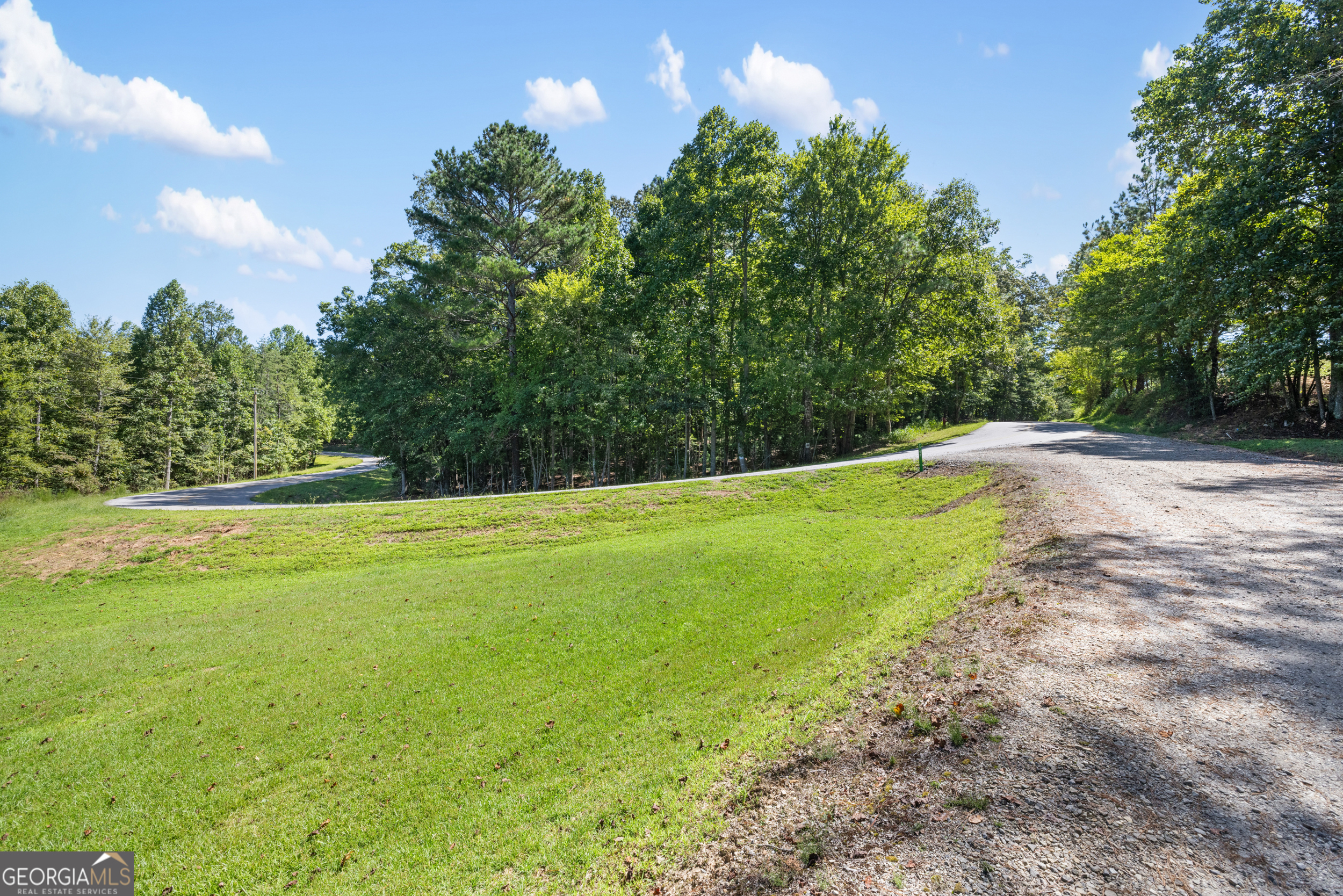 1489 Boy Scout Road Blairsville, GA 30512 - Photo 23 of 43 a view of a field with an trees