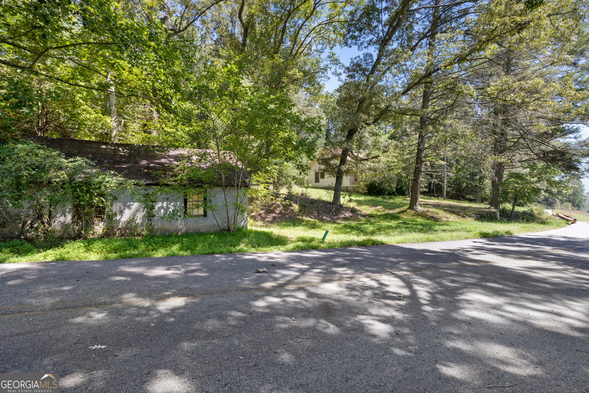 1489 Boy Scout Road Blairsville, GA 30512 - Photo 25 of 43 a view of a yard with plants and a large tree