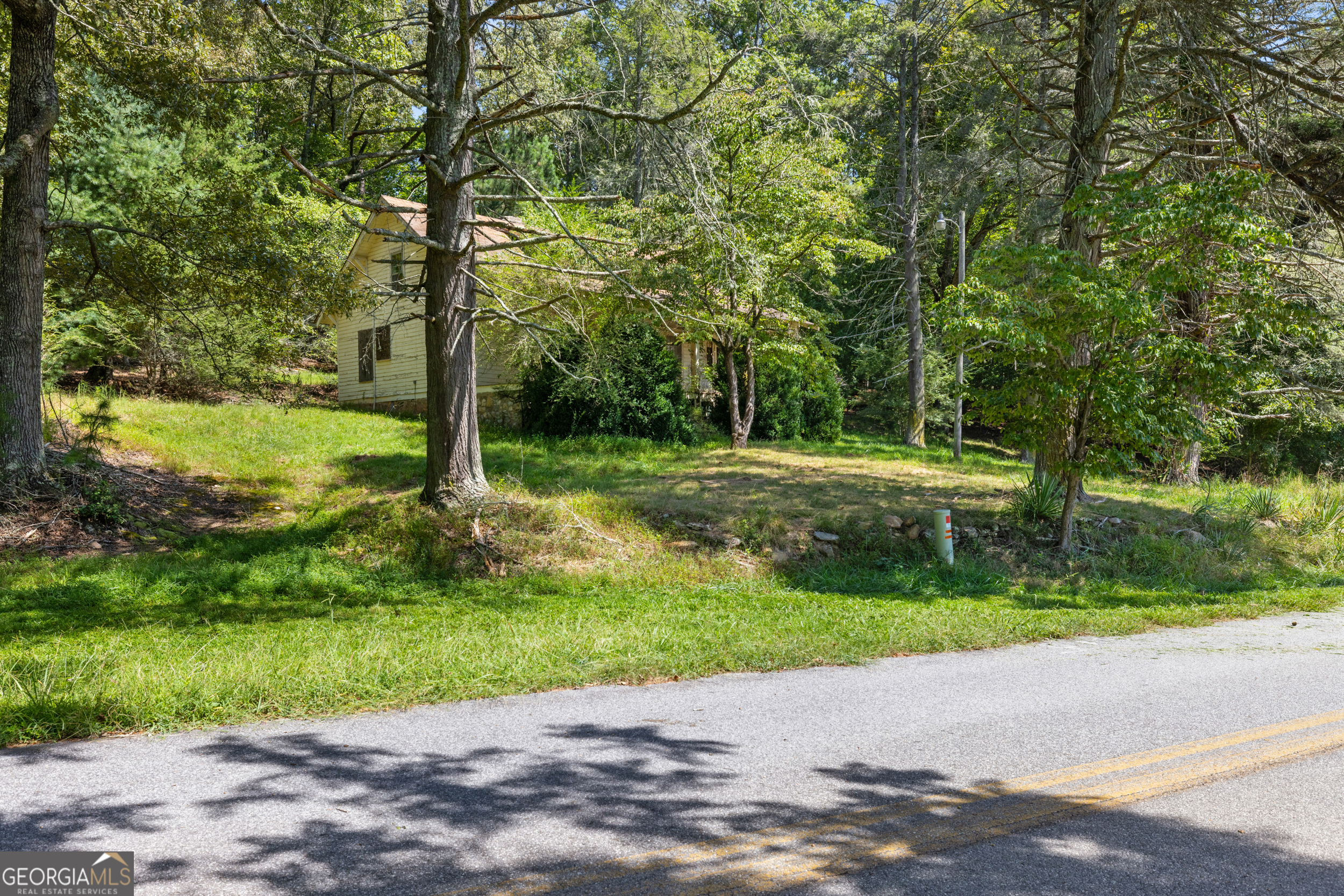 1489 Boy Scout Road Blairsville, GA 30512 - Photo 26 of 43 a view of a park with a tree in the background