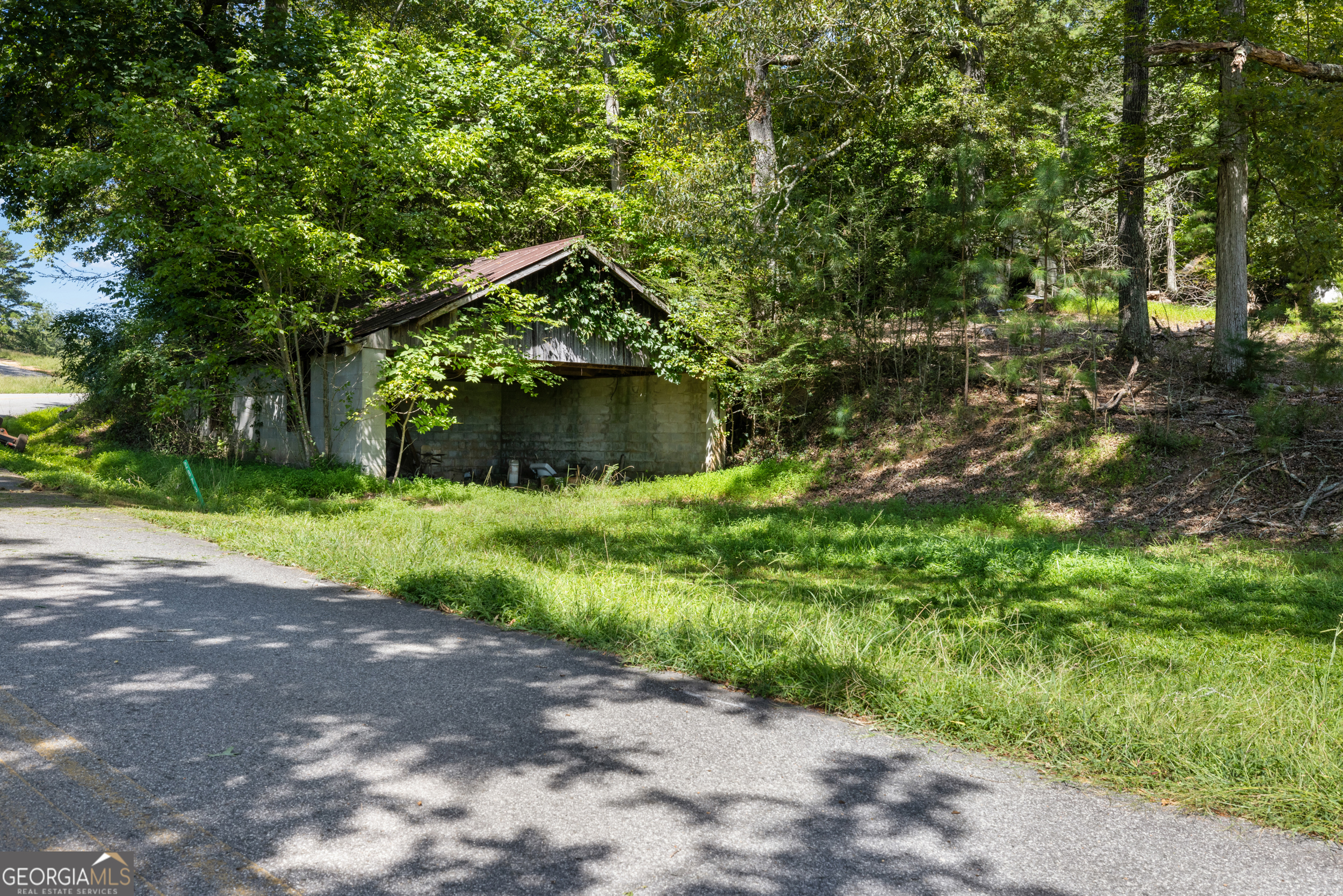 1489 Boy Scout Road Blairsville, GA 30512 - Photo 27 of 43 a view of a yard with plants and large trees