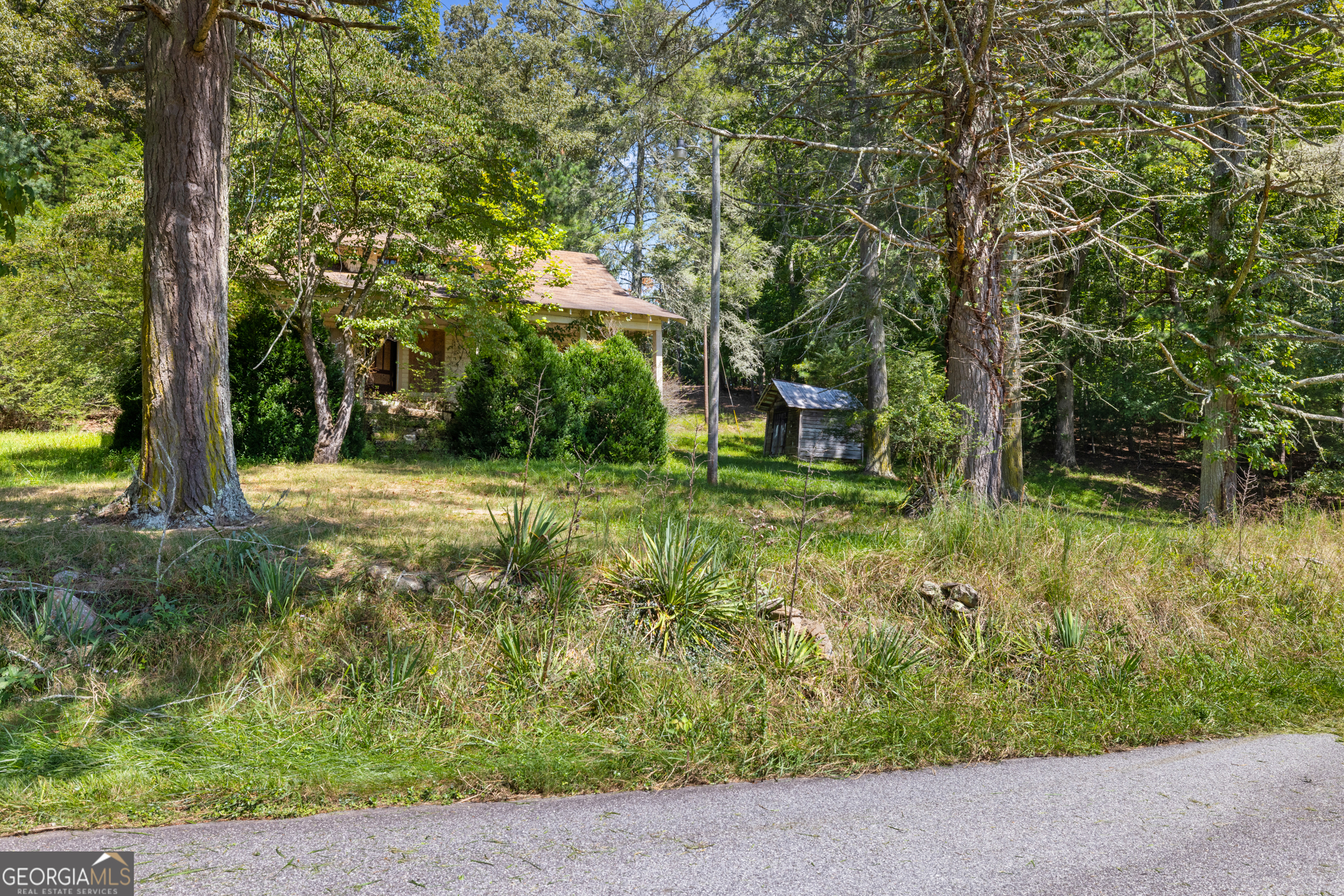 1489 Boy Scout Road Blairsville, GA 30512 - Photo 28 of 43 a backyard of a house with lots of green space