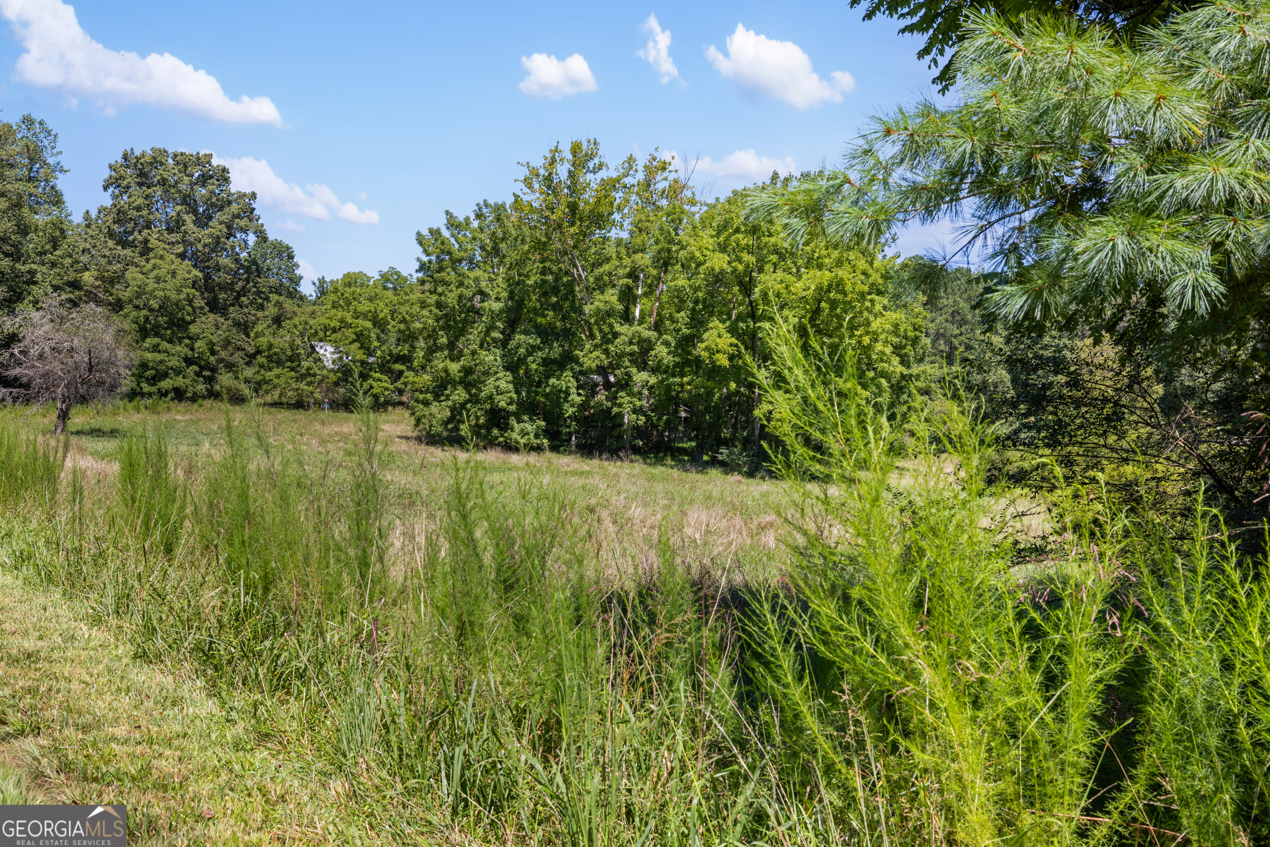 1489 Boy Scout Road Blairsville, GA 30512 - Photo 31 of 43 a view of lake with green space