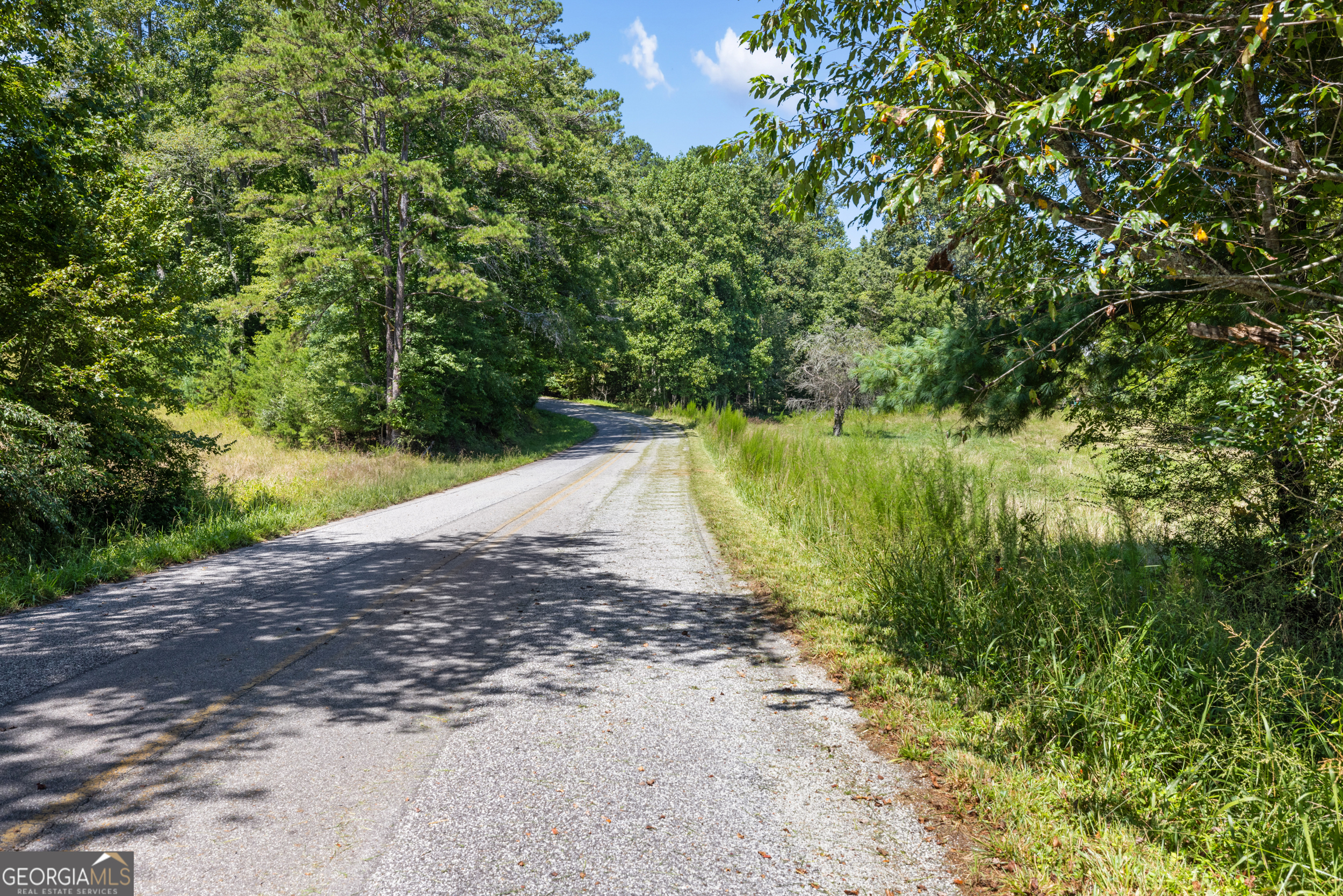 1489 Boy Scout Road Blairsville, GA 30512 - Photo 32 of 43 a view of a dirt pathway both side of yard