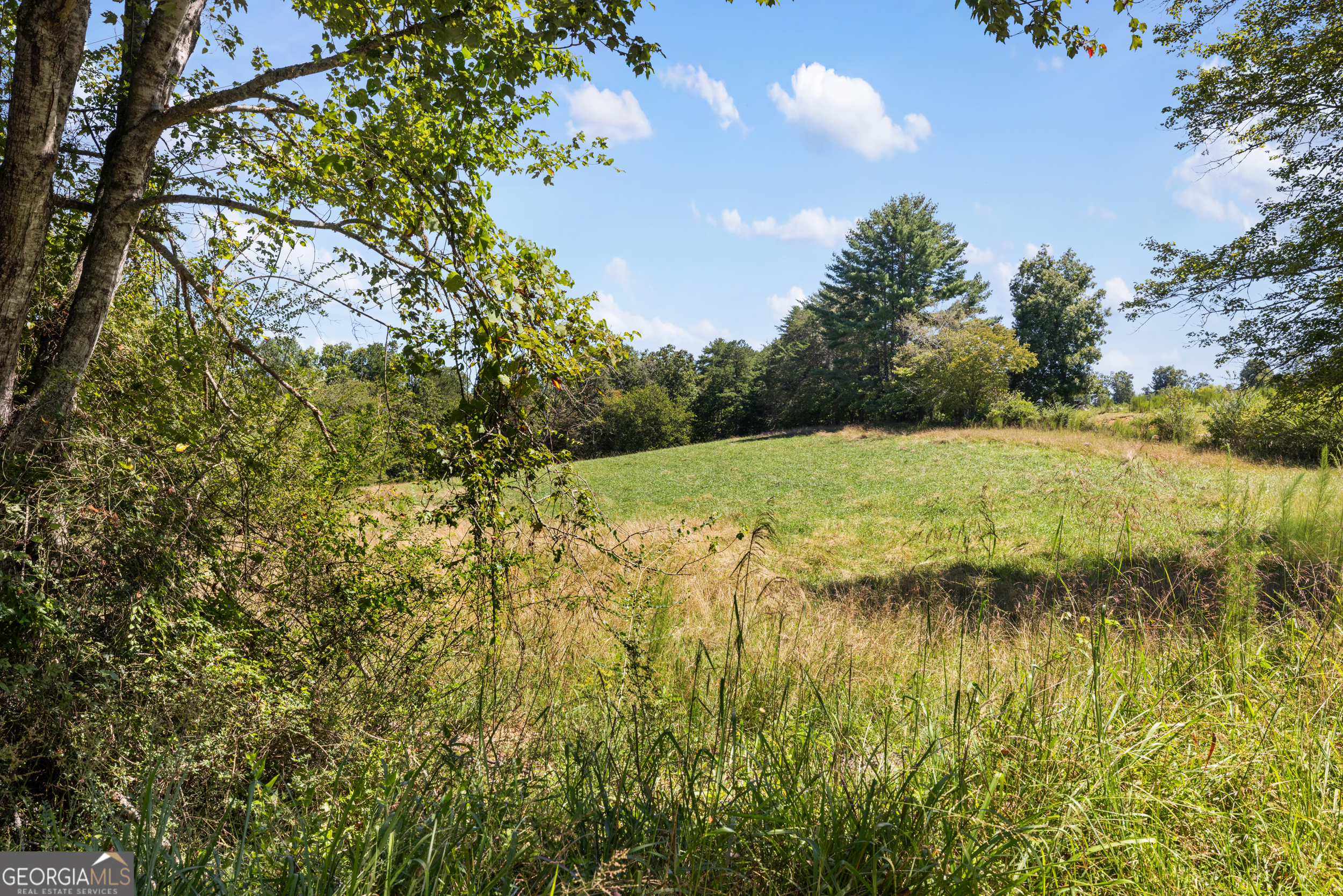 1489 Boy Scout Road Blairsville, GA 30512 - Photo 33 of 43 a view of a lake with a yard