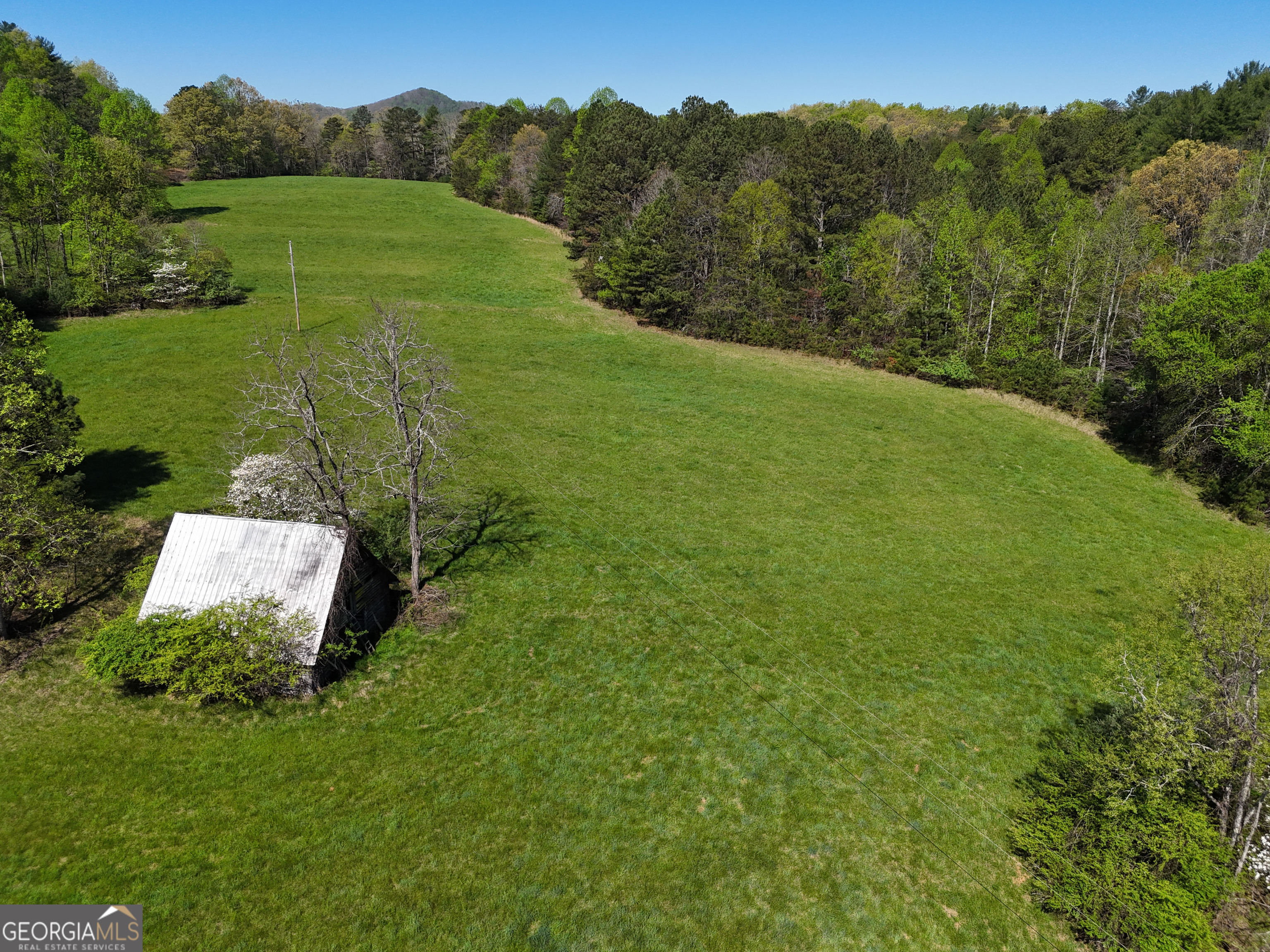 1489 Boy Scout Road Blairsville, GA 30512 - Photo 34 of 43 a view of a garden with a building in the background