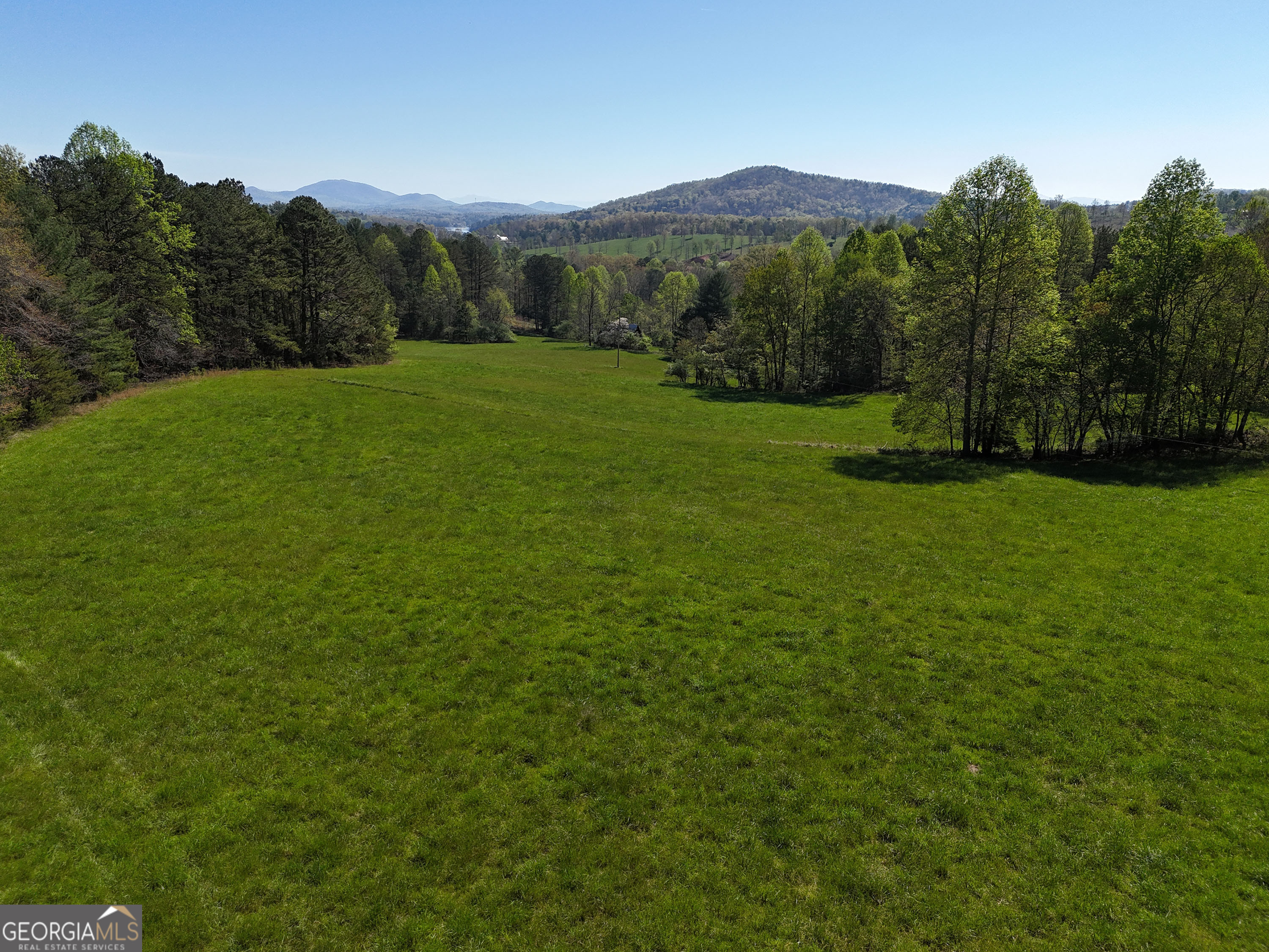 1489 Boy Scout Road Blairsville, GA 30512 - Photo 35 of 43 a view of a grassy field with trees in the background
