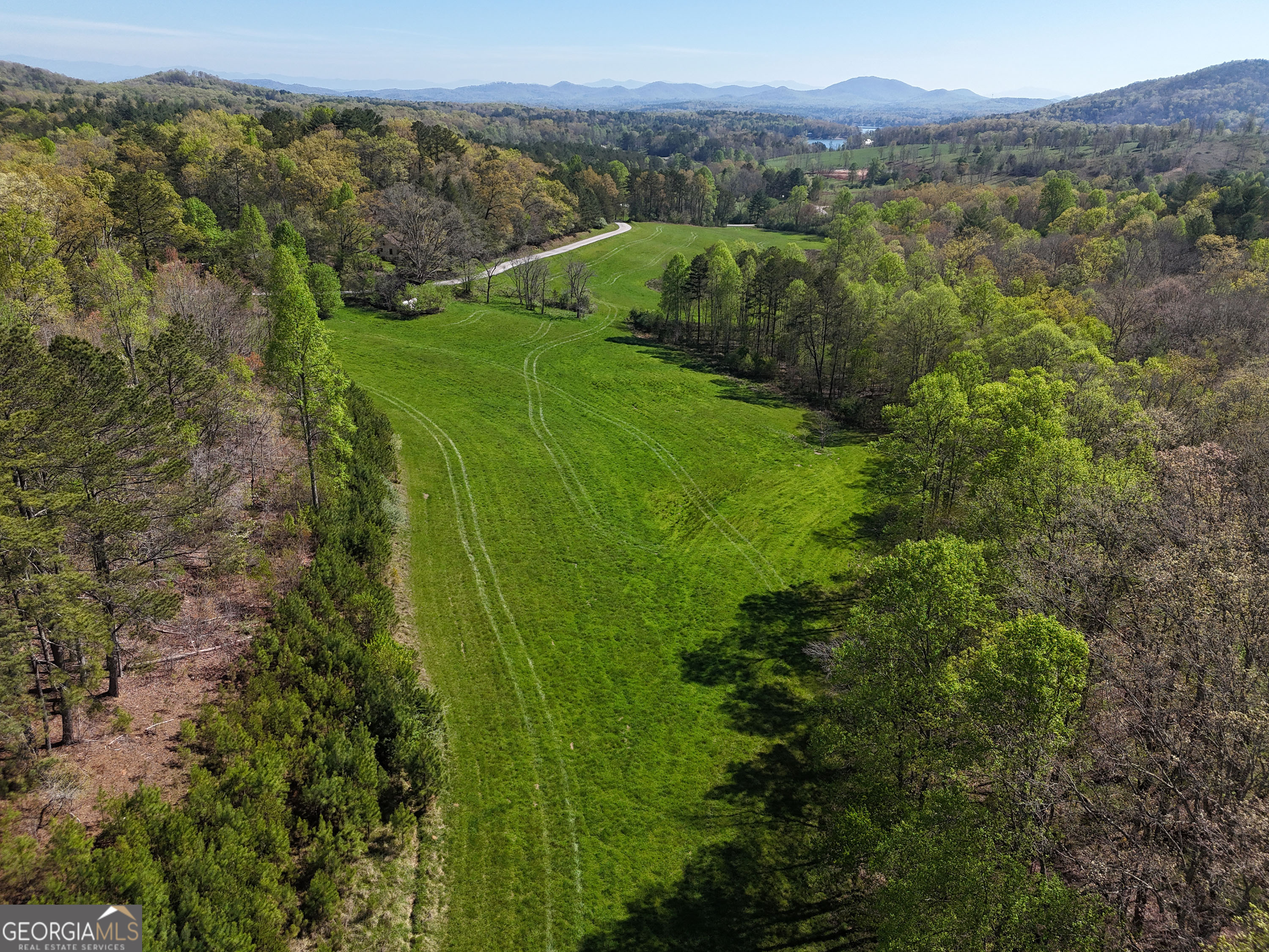 1489 Boy Scout Road Blairsville, GA 30512 - Photo 38 of 43 a view of a lush green forest with trees and some houses
