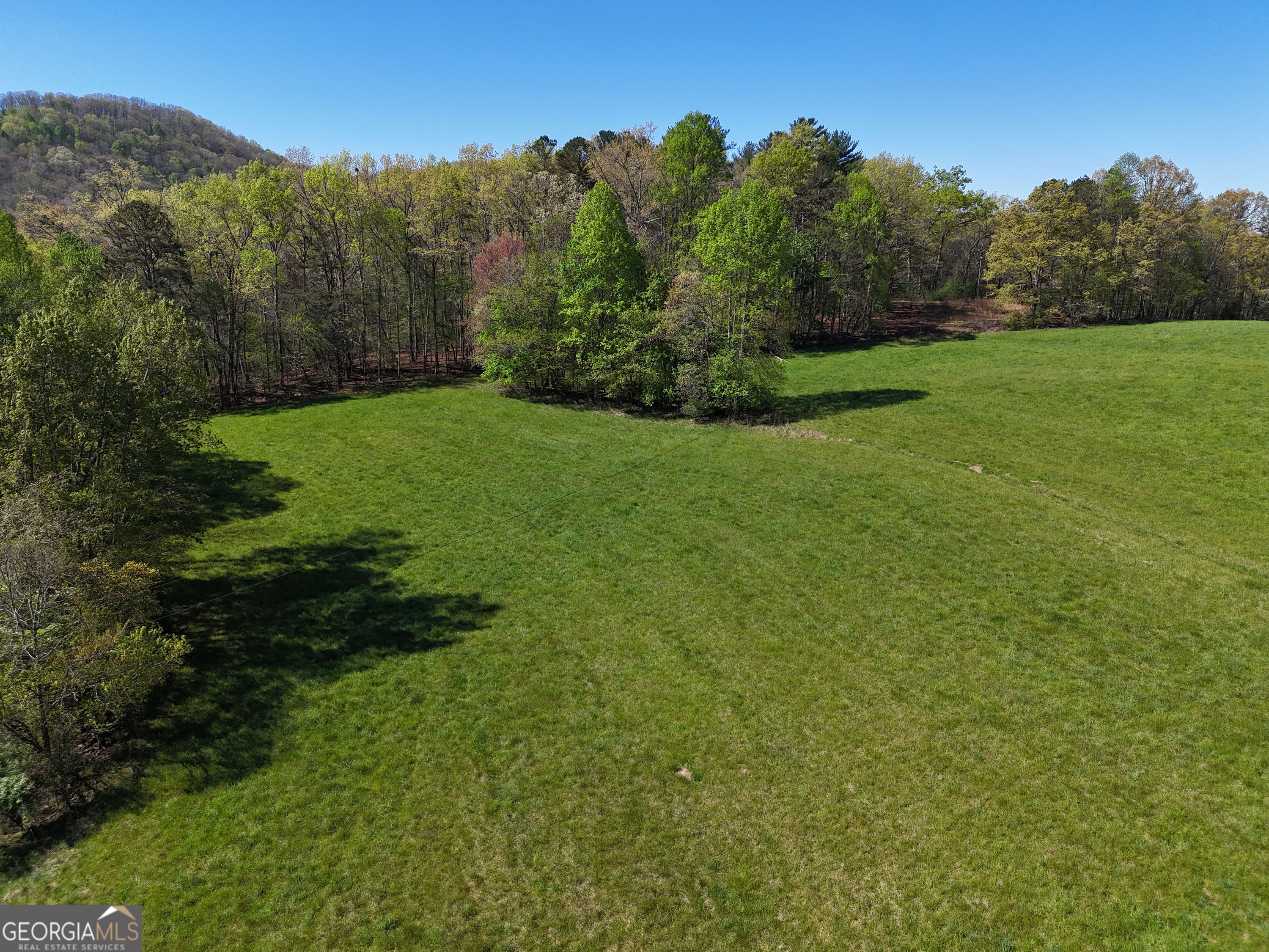 1489 Boy Scout Road Blairsville, GA 30512 - Photo 39 of 43 a view of a grassy field with trees in the background