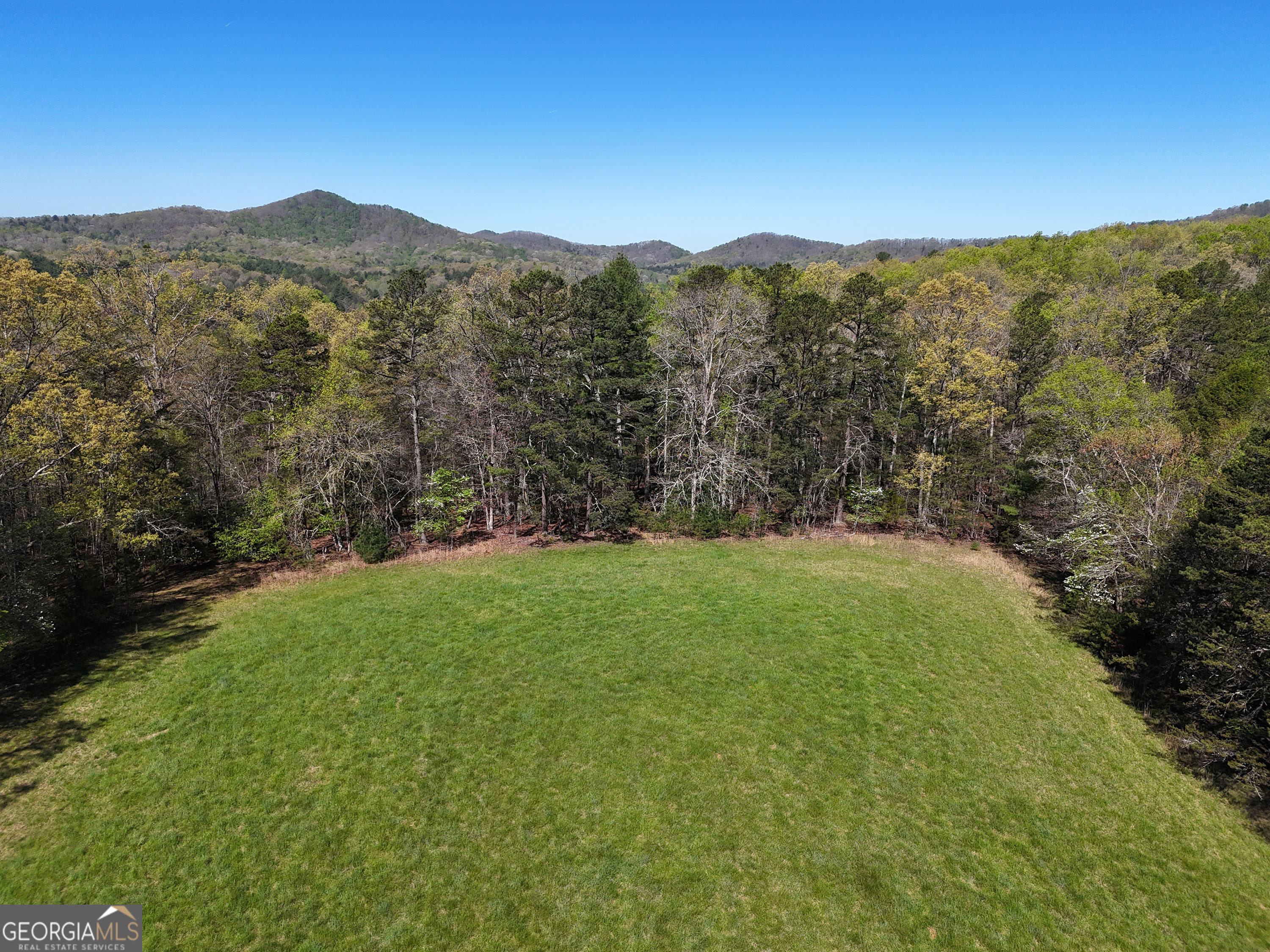1489 Boy Scout Road Blairsville, GA 30512 - Photo 40 of 43 a view of a field with mountains in the background