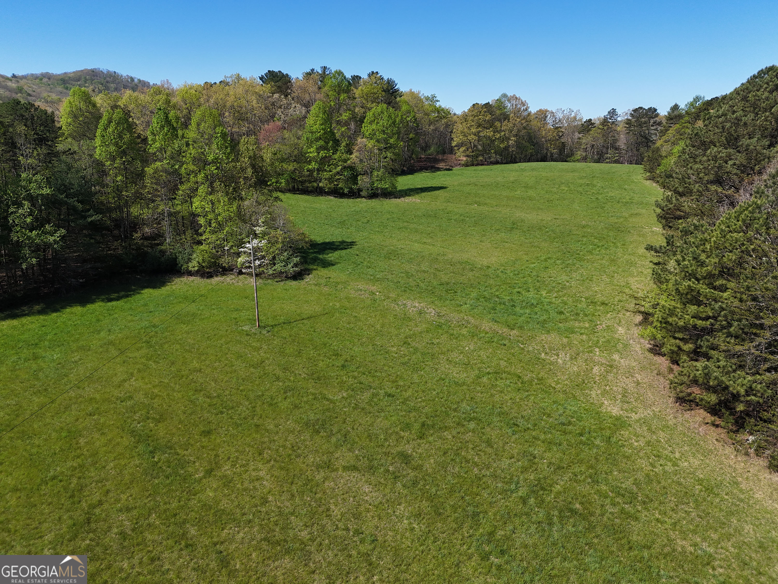 1489 Boy Scout Road Blairsville, GA 30512 - Photo 4 of 43 a view of an outdoor space and a yard