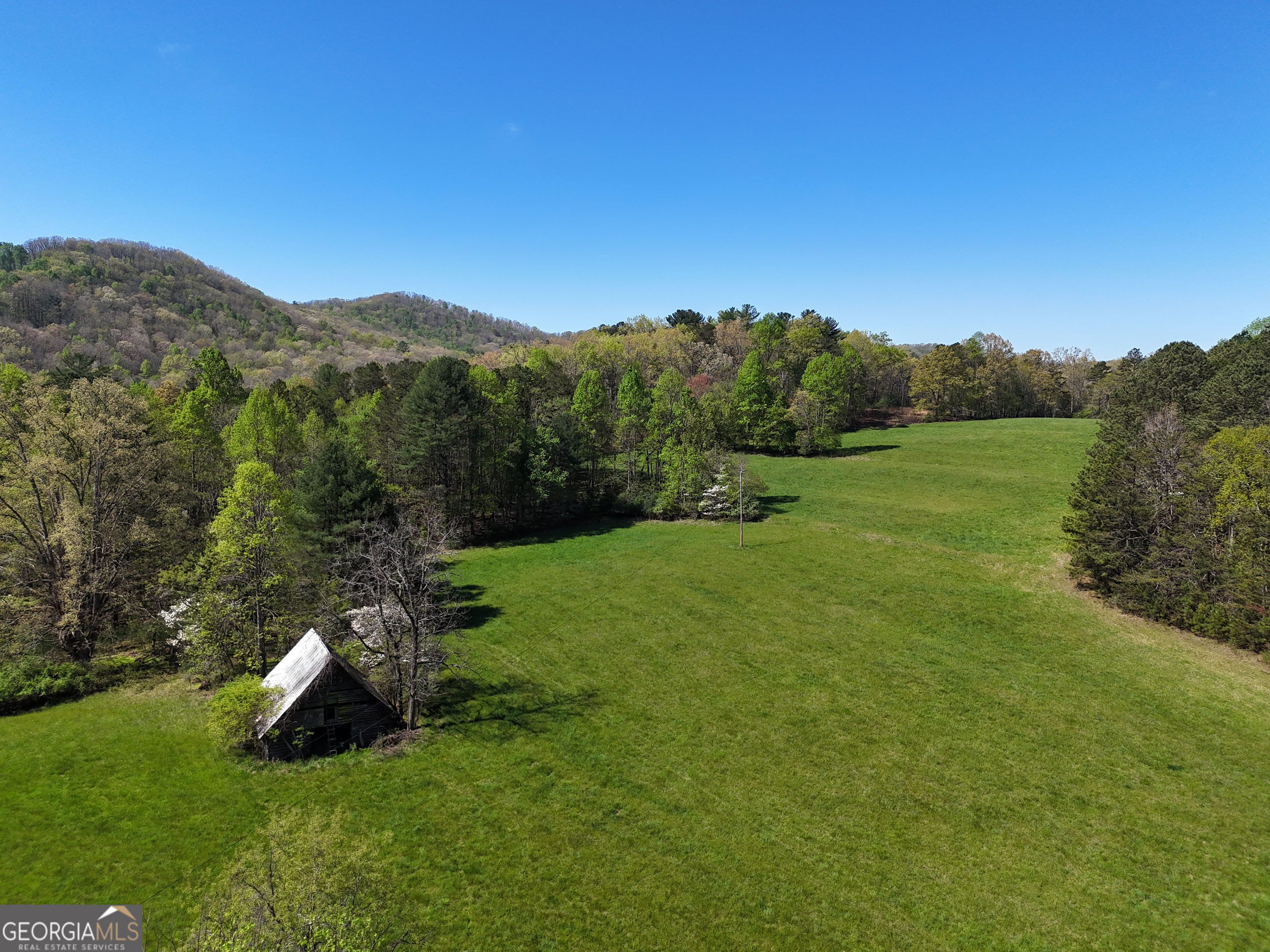 1489 Boy Scout Road Blairsville, GA 30512 - Photo 42 of 43 a view of a green field with clear sky