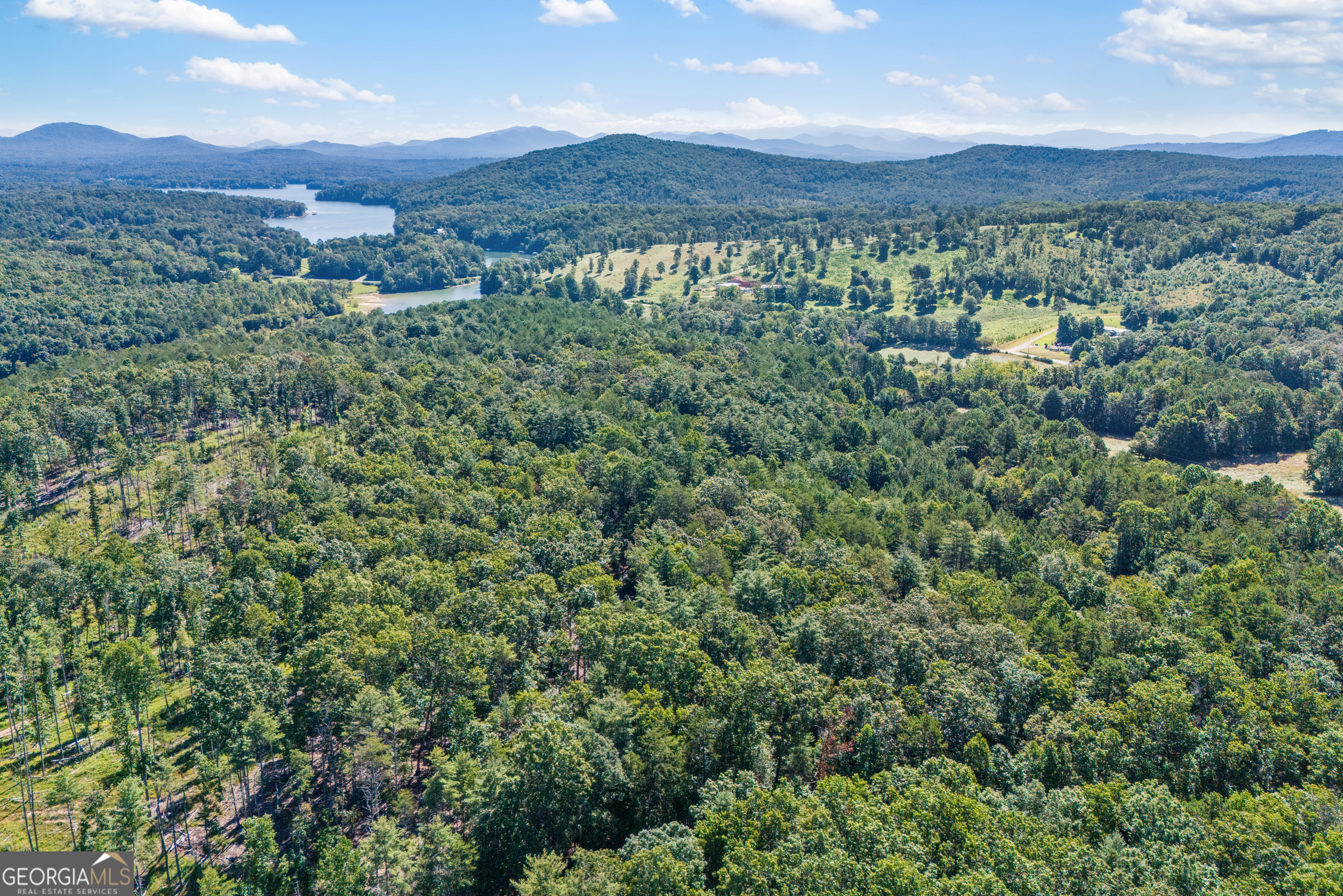 1489 Boy Scout Road Blairsville, GA 30512 - Photo 5 of 43 a view of a lush green field with lots of bushes