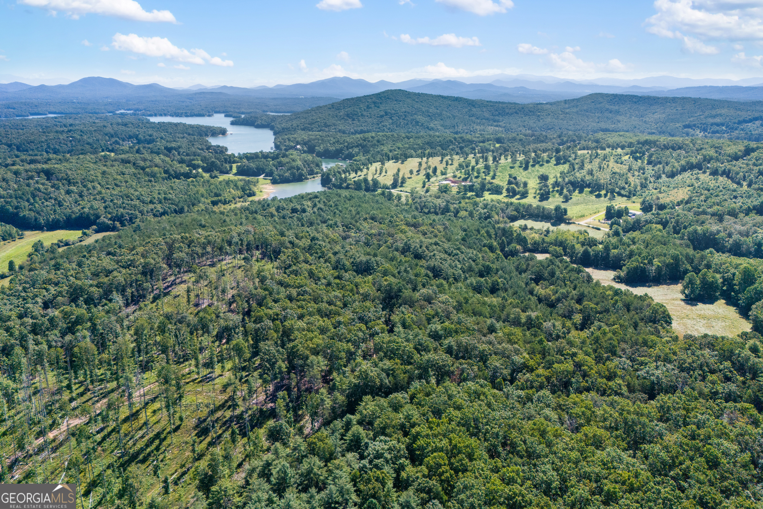 1489 Boy Scout Road Blairsville, GA 30512 - Photo 6 of 43 an aerial view of residential house and outdoor space