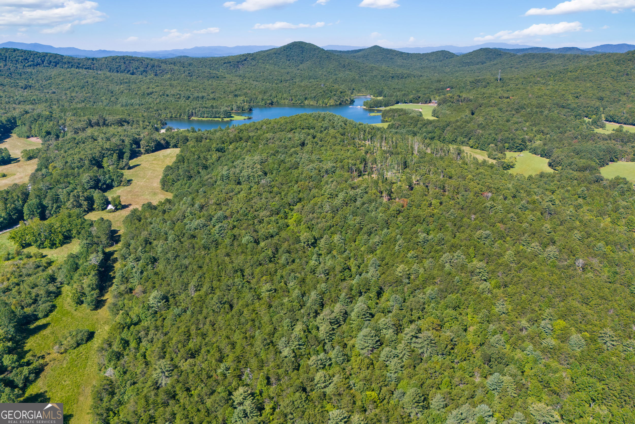 1489 Boy Scout Road Blairsville, GA 30512 - Photo 9 of 43 a view of an lush green forest with a mountain