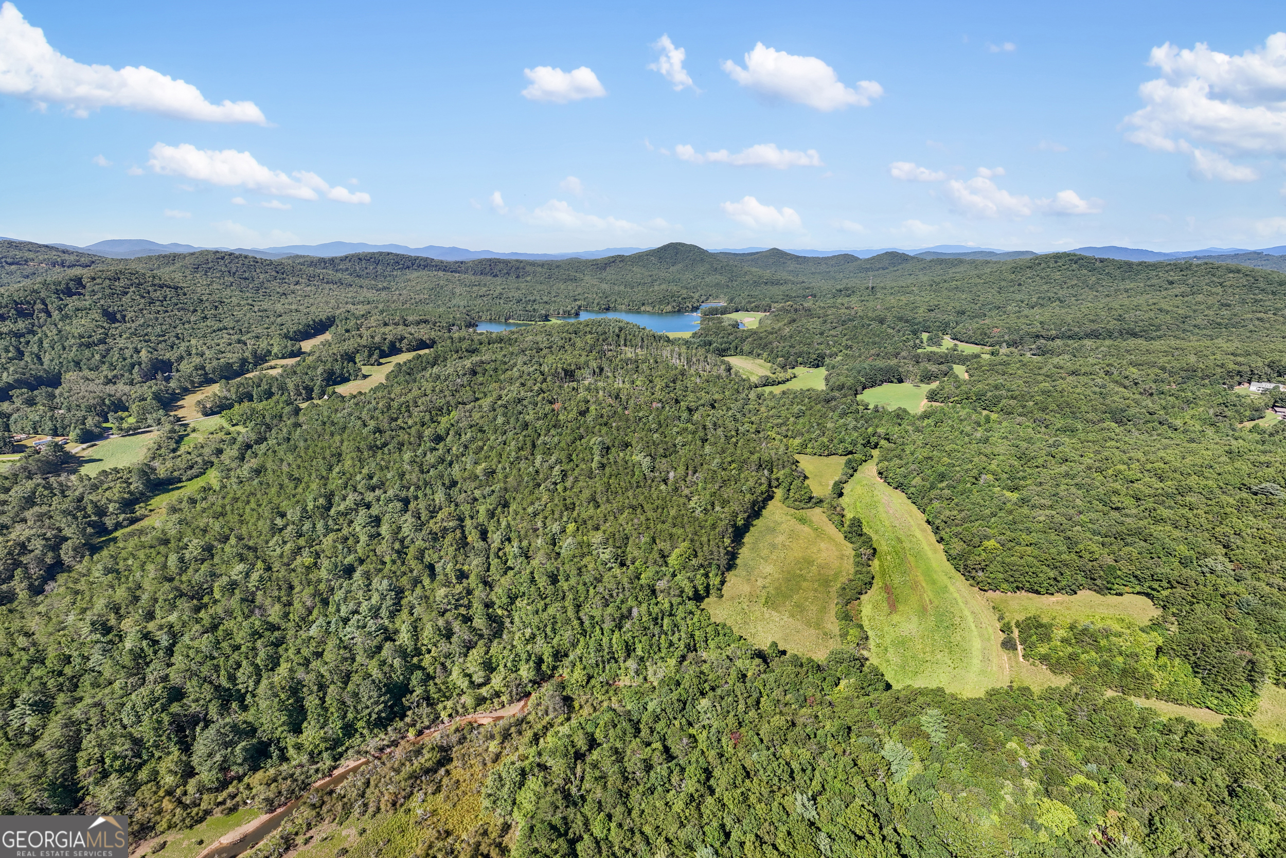 1489 Boy Scout Road Blairsville, GA 30512 - Photo 10 of 43 a view of a lake
