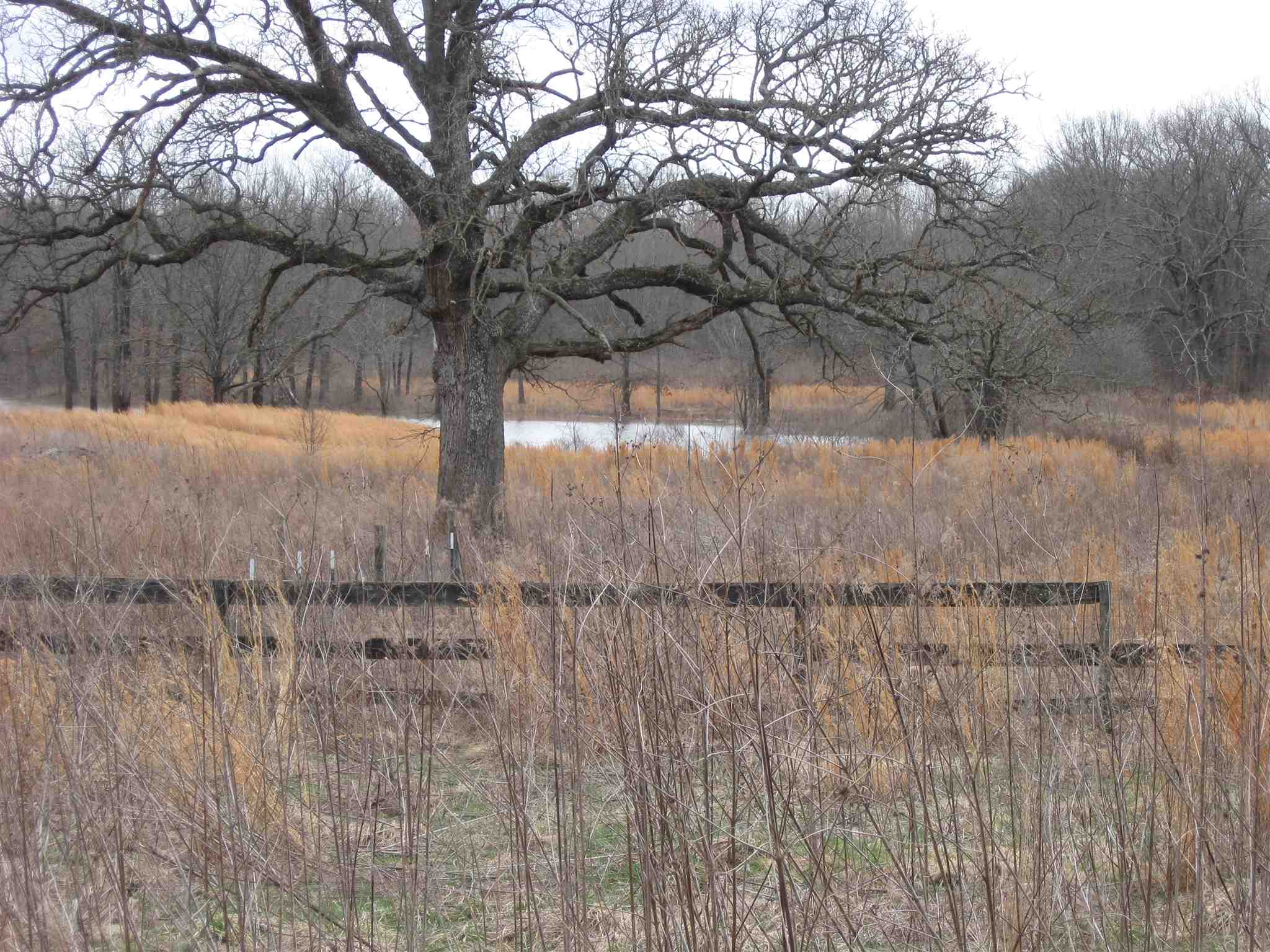 2360 Dog Walk Road Equality, IL 62934 - Photo 4 of 26 Gallery Image 4