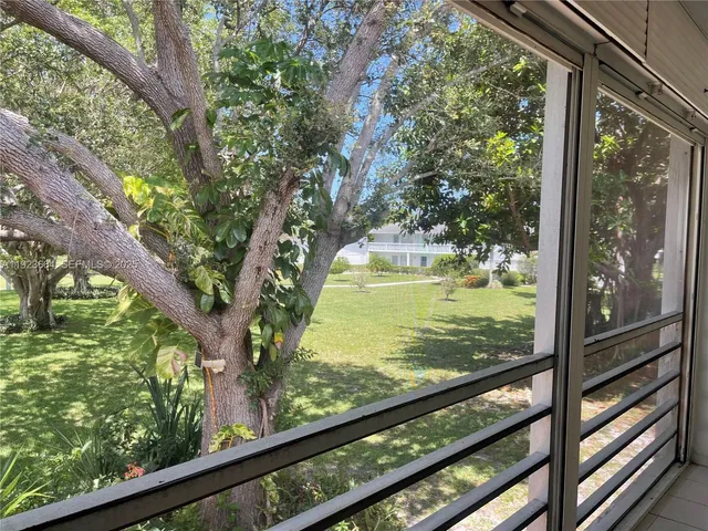 a view of lake from a window