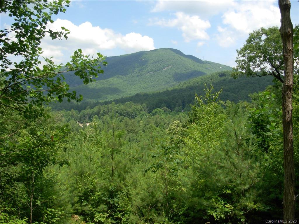 12 Running Fox Road, Unit 12 FR Sapphire, NC 28774 - Photo 2 of 4 Gallery Image 2