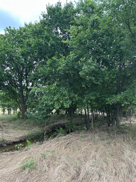Tbd Krahl Road Valley View, TX 76272 - Photo 22 of 23 Creek
