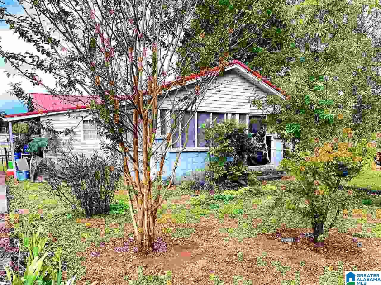 205 Rome Avenue Piedmont, AL 36272 - Photo 15 of 15
