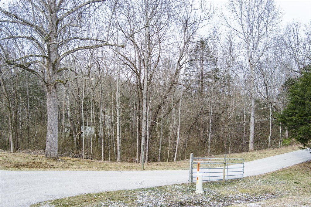 334 Farmer Road Quebeck, TN 38579 - Photo 43 of 58 Gallery Image 43