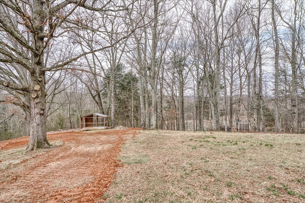 334 Farmer Road Quebeck, TN 38579 - Photo 51 of 58 Gallery Image 51