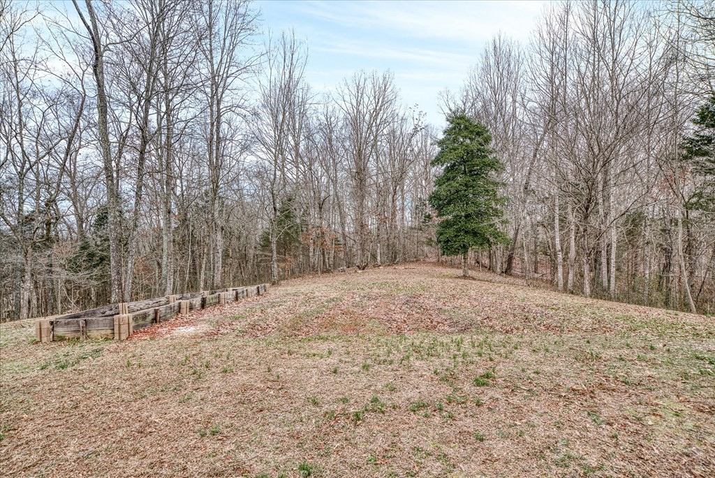 334 Farmer Road Quebeck, TN 38579 - Photo 54 of 58 Gallery Image 54