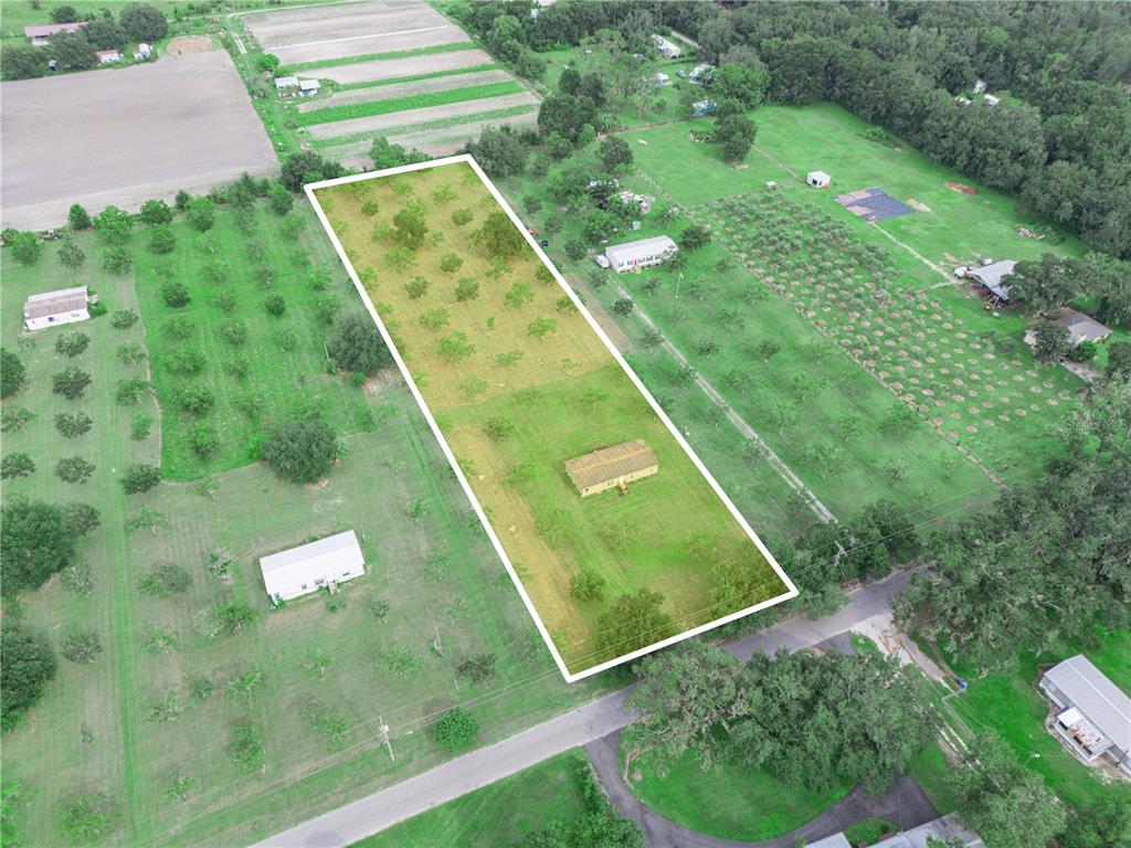 8564 Carey Road Lithia, FL 33547 - Photo 3 of 9