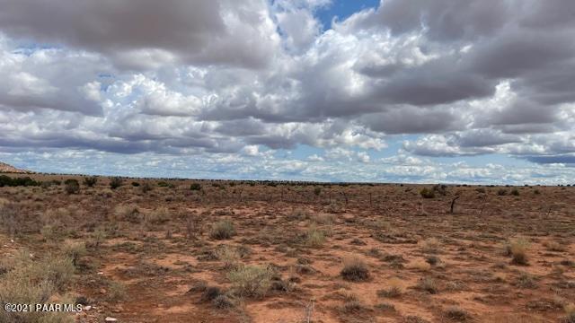 Lot 49 Snowflake Ranch Snowflake, AZ 85937 - Photo 2 of 5