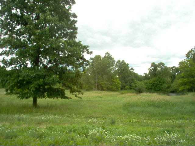 0 Berry Road, Unit PARCEL A Pleasant Lake, MI 49272 - Photo 1 of 1 Photo 1