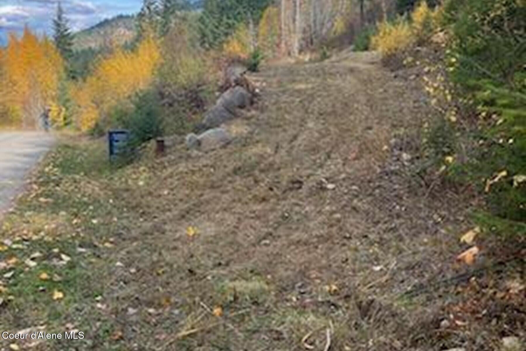 Lot 2 Forever View Road Sagle, ID 83860 - Photo 13 of 40 Newly Cleared and Refreshed
