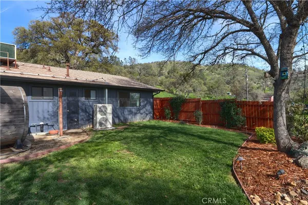 a view of a park with large trees