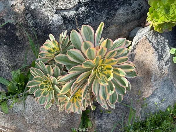 a view of a large body of water with a mountain