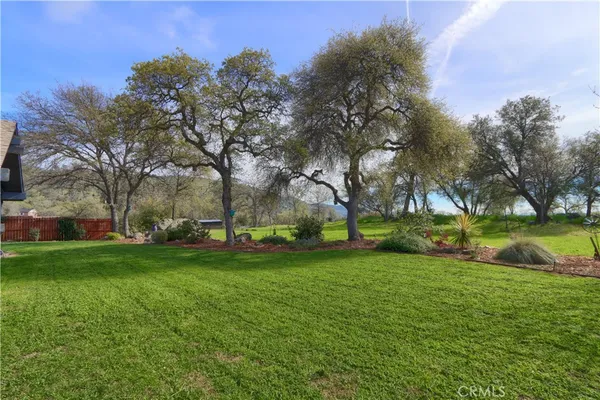 a view of a field of grass and trees