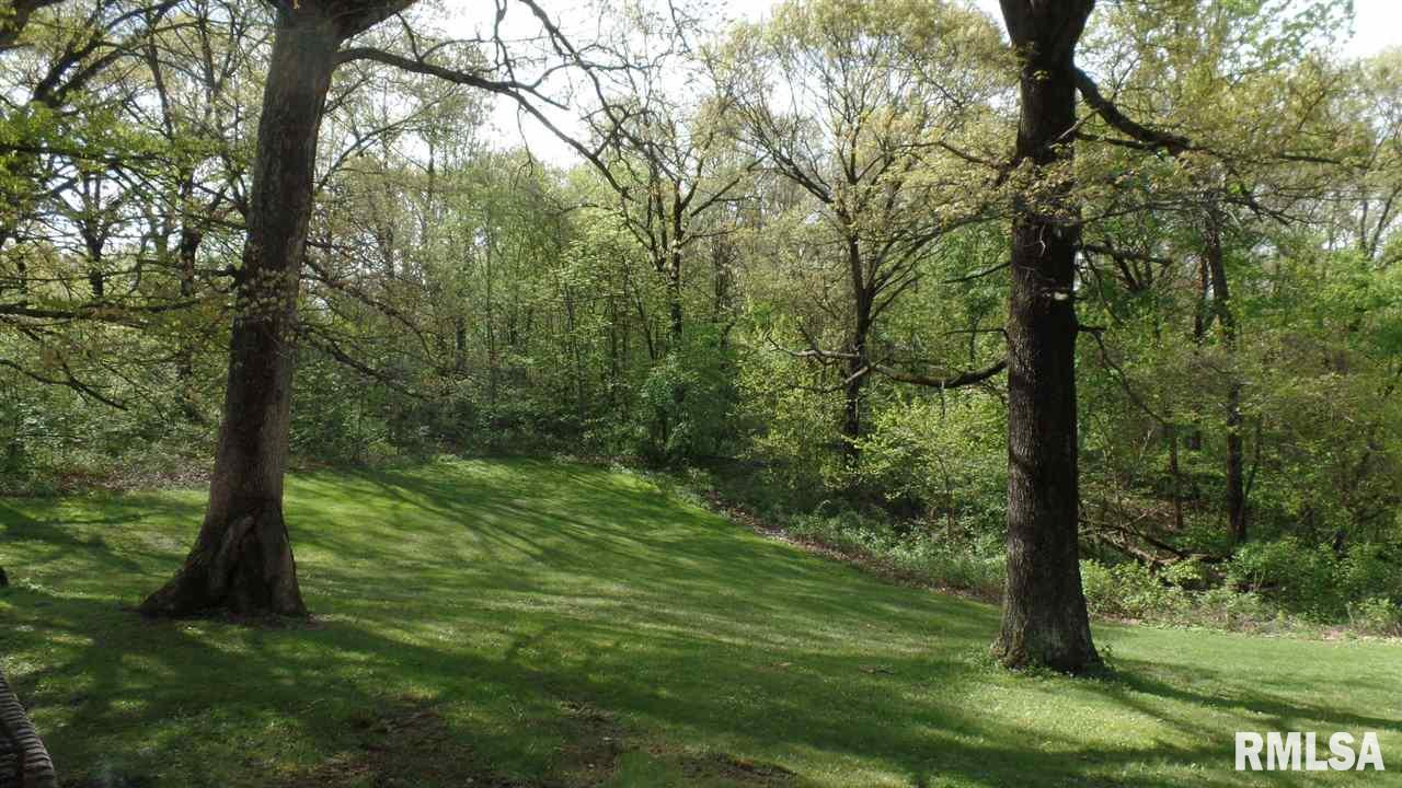 1930 East Truitt Road Chillicothe, IL 61523 - Photo 15 of 20 Gallery Image 15