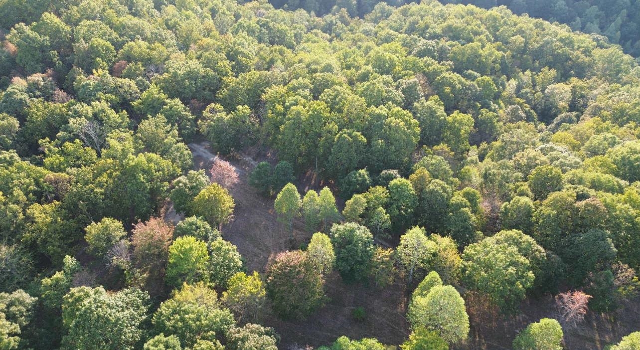0 Beauty Ridge Road South Shore, KY 41175 - Photo 9 of 13