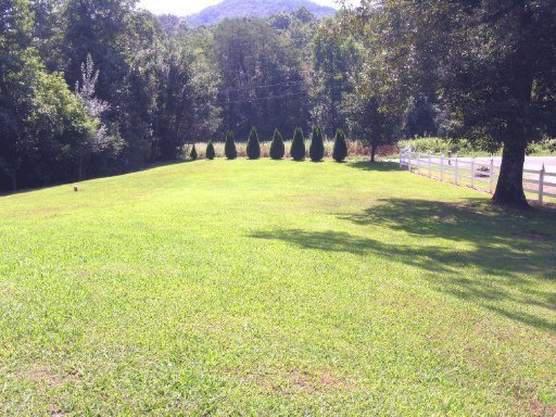 1551 Belltown Road Tellico Plains, TN 37385 - Photo 6 of 28 Additional Photo