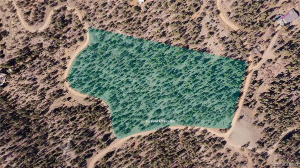 a view of a forest with trees in the background