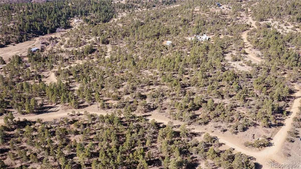 a view of a tree