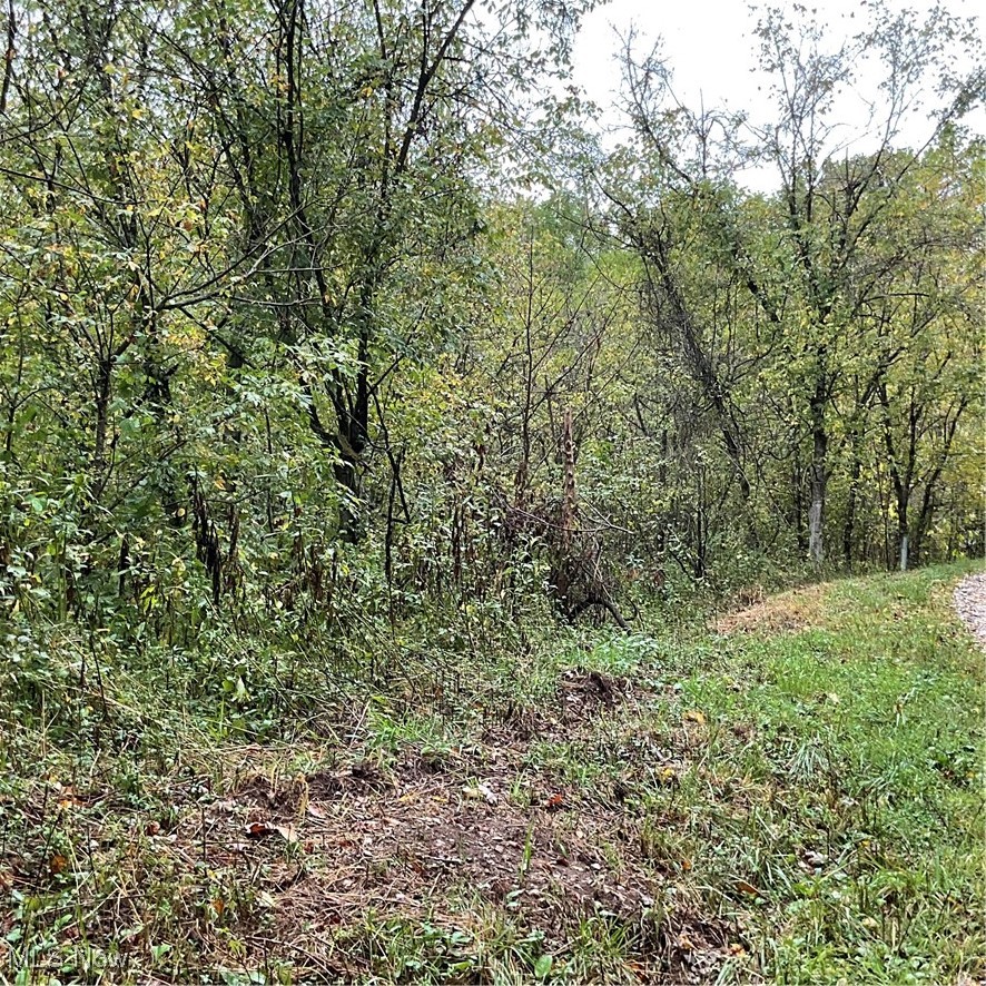 2105 Cicerone Road Walton, WV 25286 - Photo 14 of 23