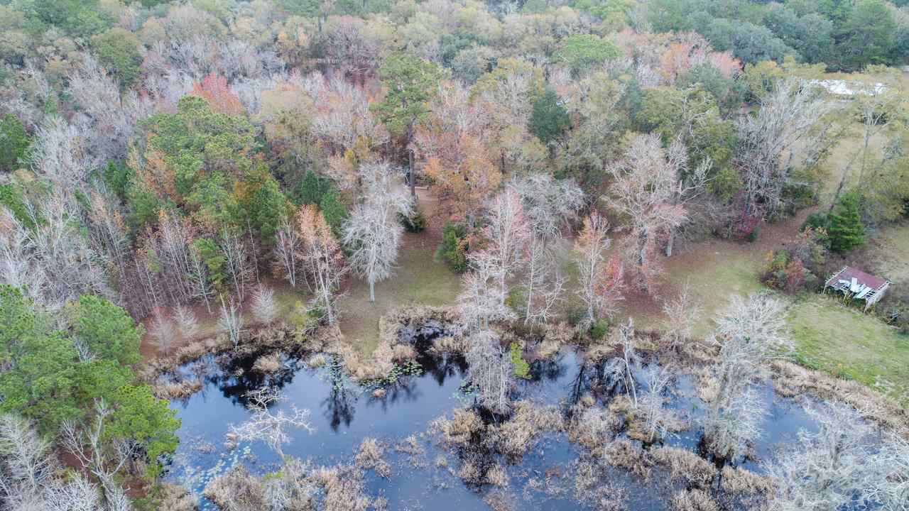 7520 Proctor Road Tallahassee, FL 32309 - Photo 34 of 36 Gallery Image 34