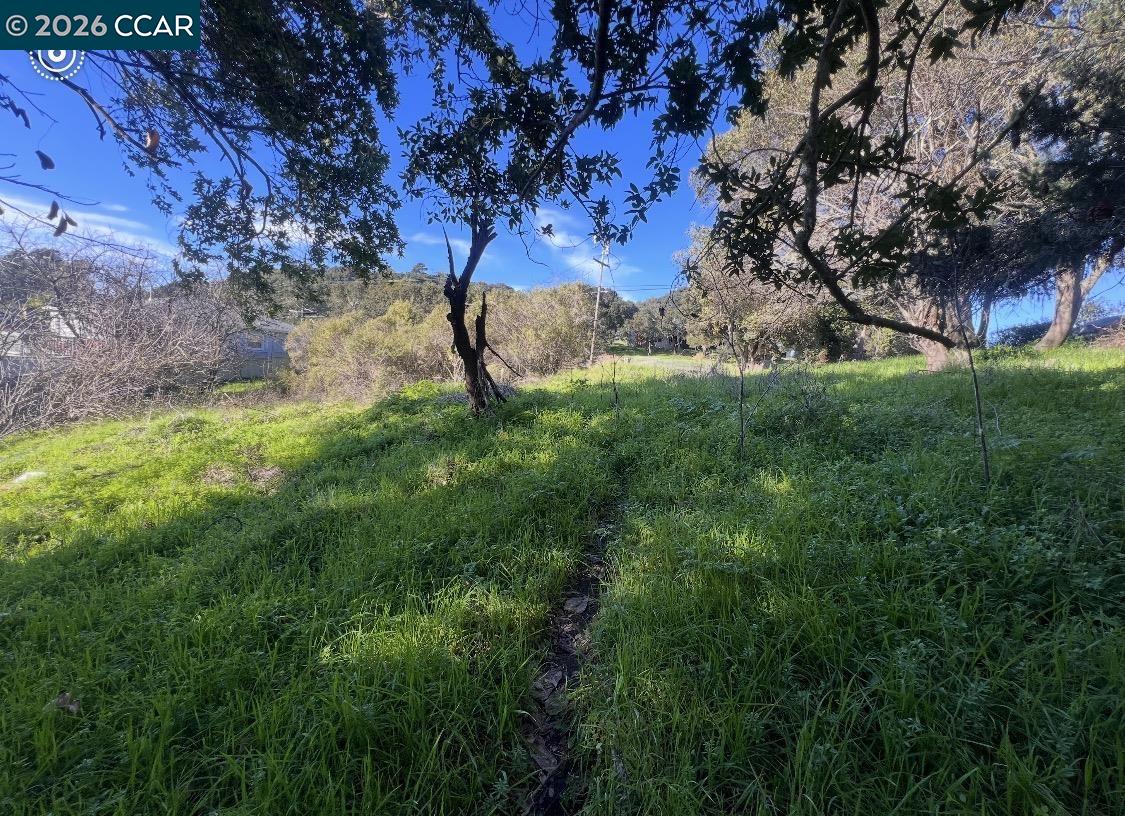 Sobrante Avenue El Sobrante, CA 94803 - Photo 4 of 10 a view of a backyard