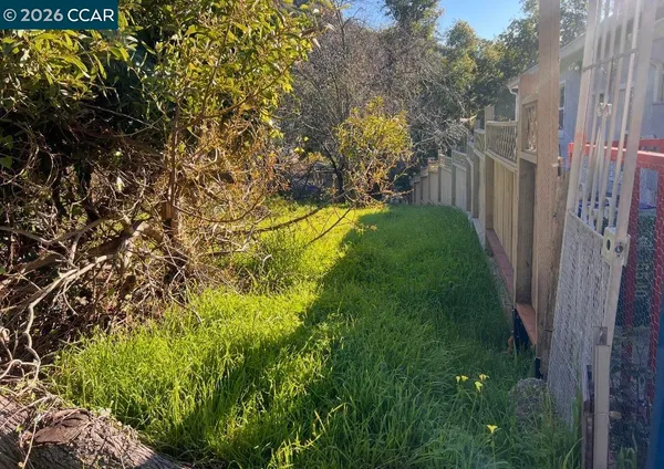 a view of yard from a corridor