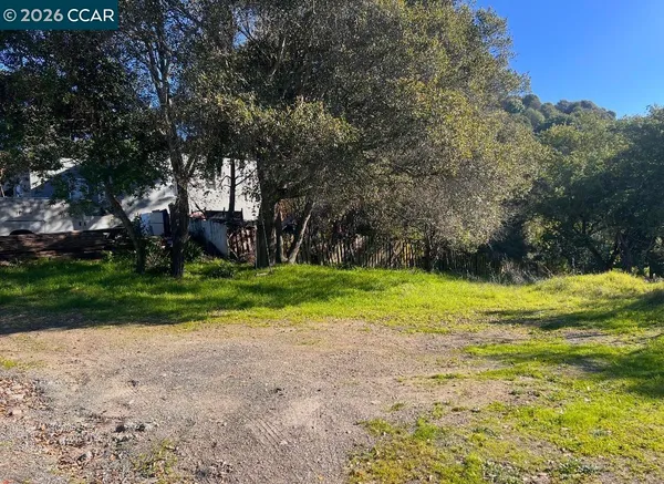 a view of a yard