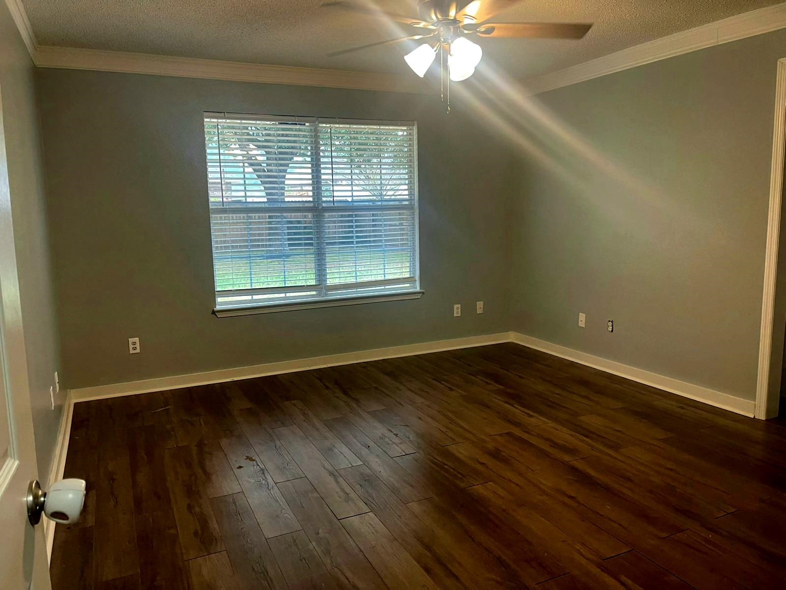 24002 Raynagua Boulevard Loxley, AL 36551 - Photo 4 of 12