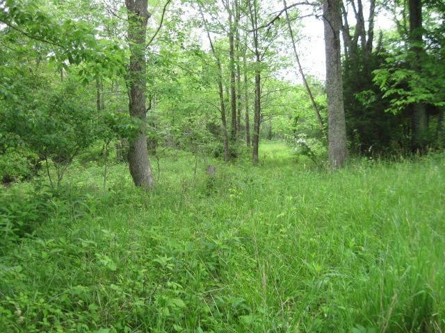 0 Stringtown Weber Corinth, KY 41010 - Photo 8 of 16 Gallery Image 8